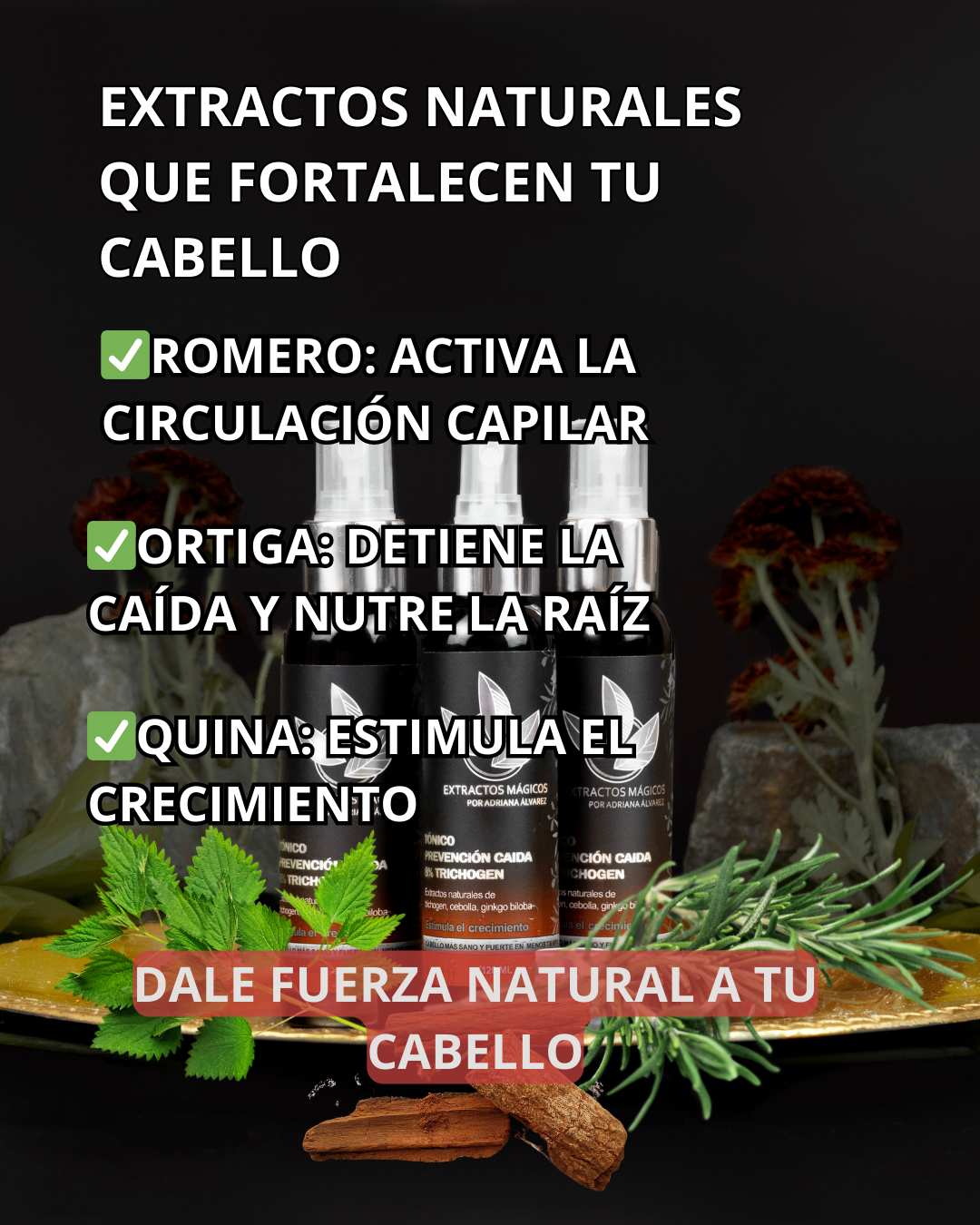 Tónico Capilar 120mL Combo x2